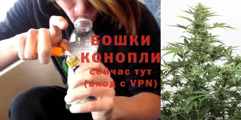 МАРИХУАНА SATIVA & INDICA  Нерехта 